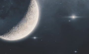 LUNA - Washable wallpaper by N.O.W. Edizioni - view 3